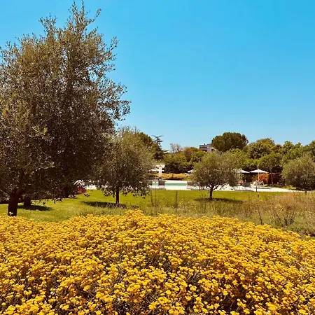 Terra Apart-hotel 4*
